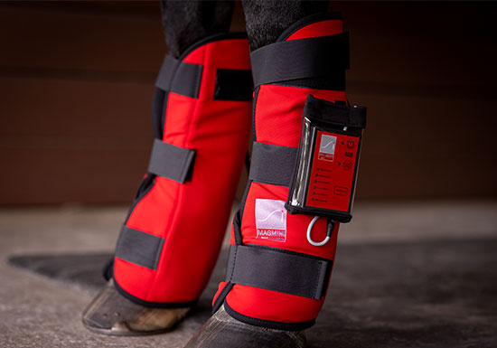 MagMini Leg Wraps: Stronger PEMF for Horses